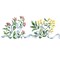 Herbs with Ribbon Wall Stencil | 2195 by Designer Stencils | Word & Phrase Stencils | Reusable Art Craft Stencils for Painting on Walls, Canvas, Wood | Reusable Plastic Paint Stencil for Home Makeover | Easy to Use & Clean Art Stencil